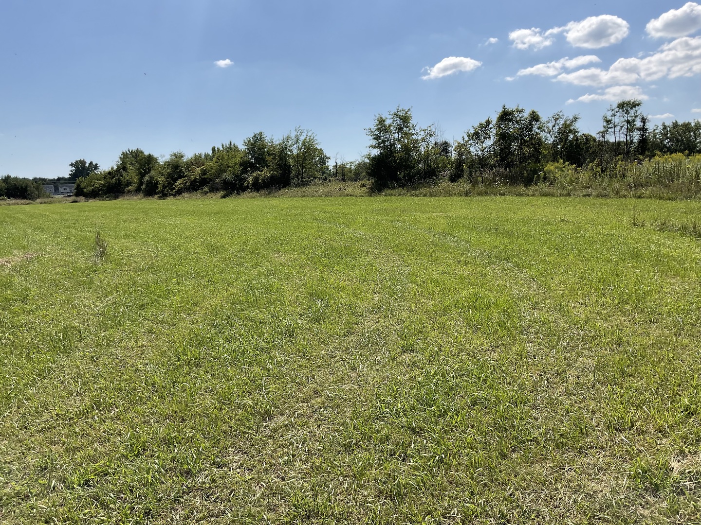 2741 223rd Street Chicago Heights, IL 60411 - Photo 6 of 41 a view of a grassy field with trees in the background