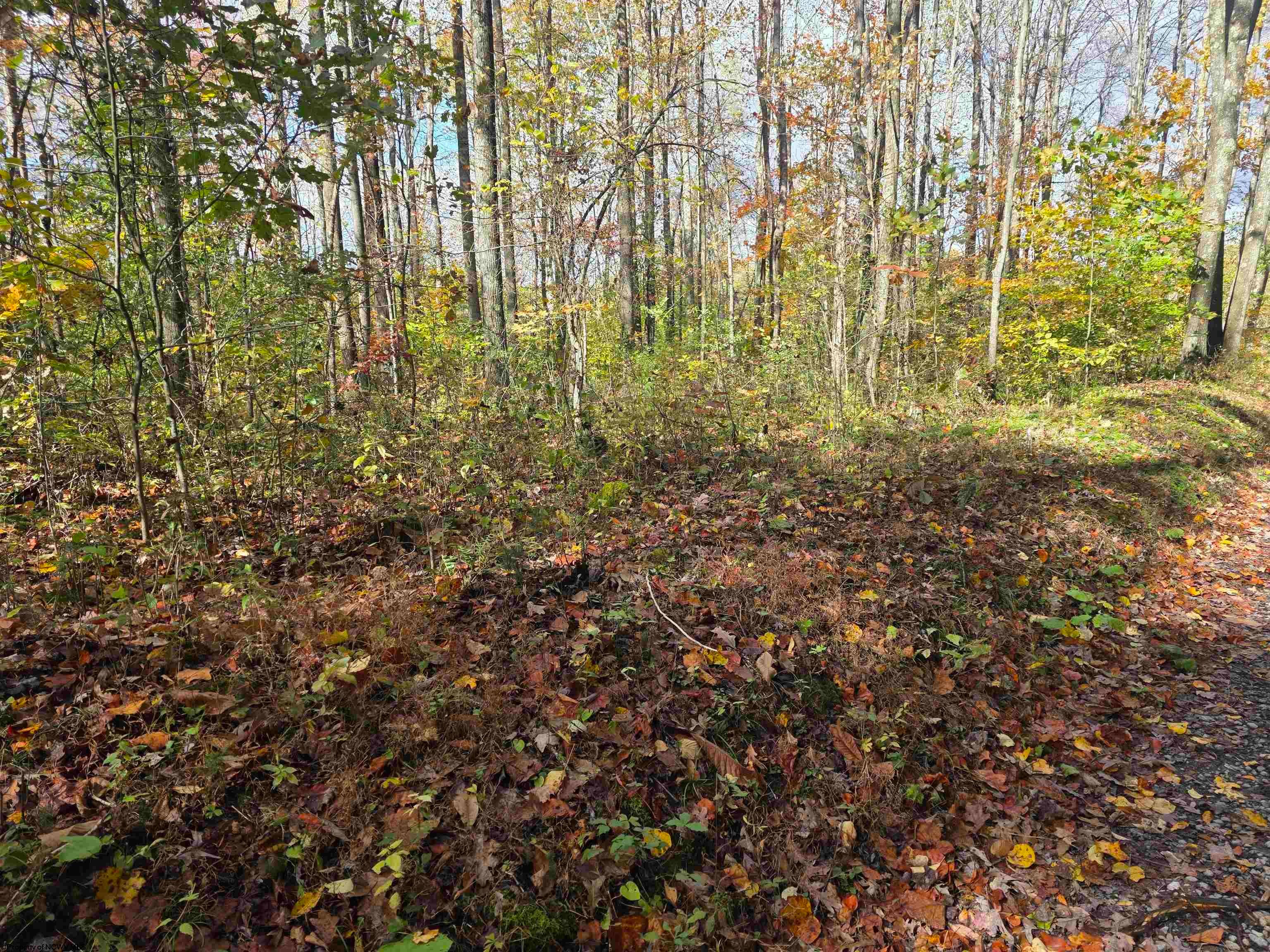 Tbd Campground Road Tunnelton, WV 26444 - Photo 2 of 5 Gallery Image 2