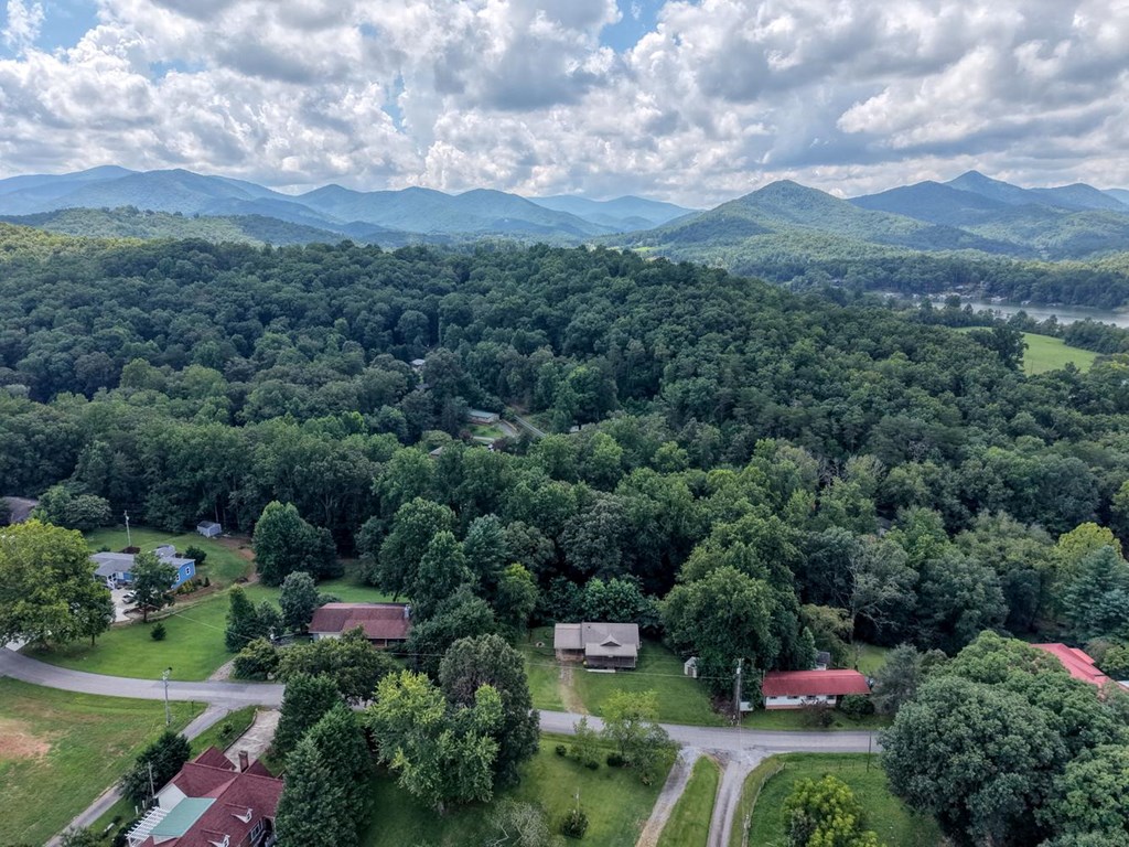 723 Bugscuffle Road Hiawassee, GA 30546 - Photo 33 of 35 Arial