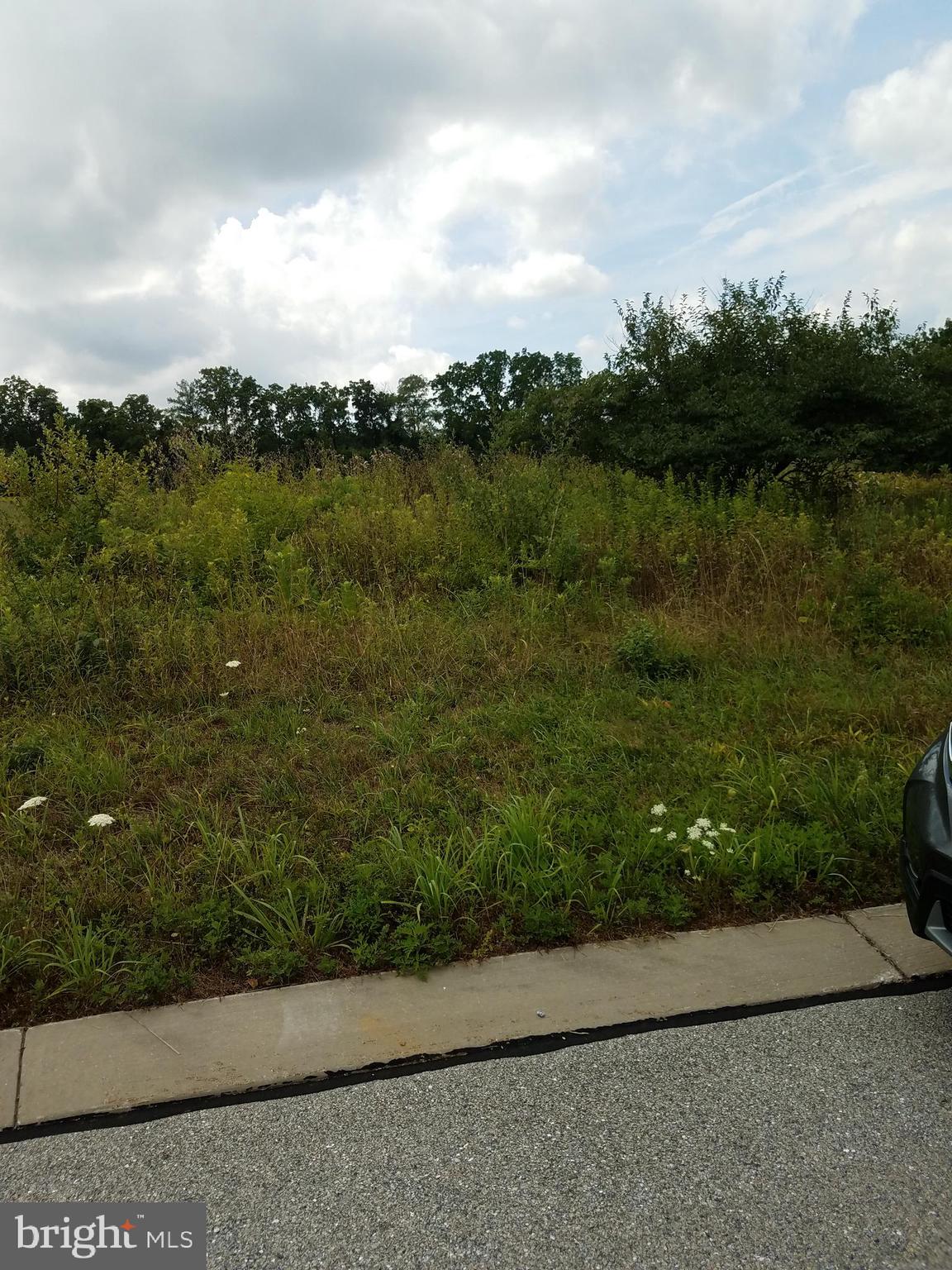 Lot 9 Landis Road Hanover, PA 17331 - Photo 1 of 4 Waiting to be enjoyed