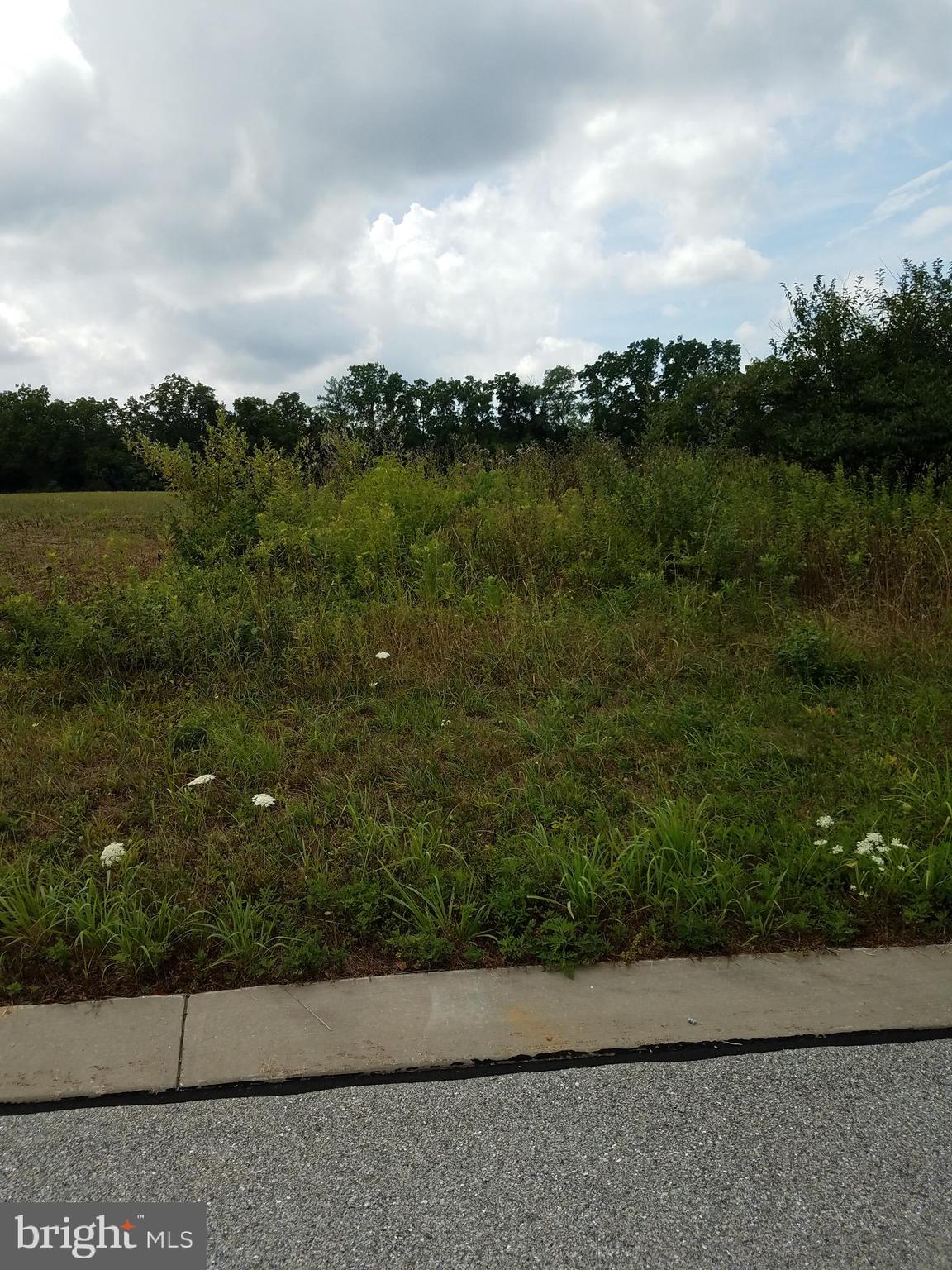 Lot 9 Landis Road Hanover, PA 17331 - Photo 3 of 4 Turn this lot into your Dream Home