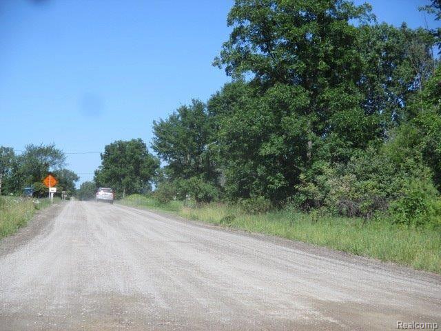 10104 Van Vleet Road Gaines, MI 48436 - Photo 22 of 22 Street (2).jpg