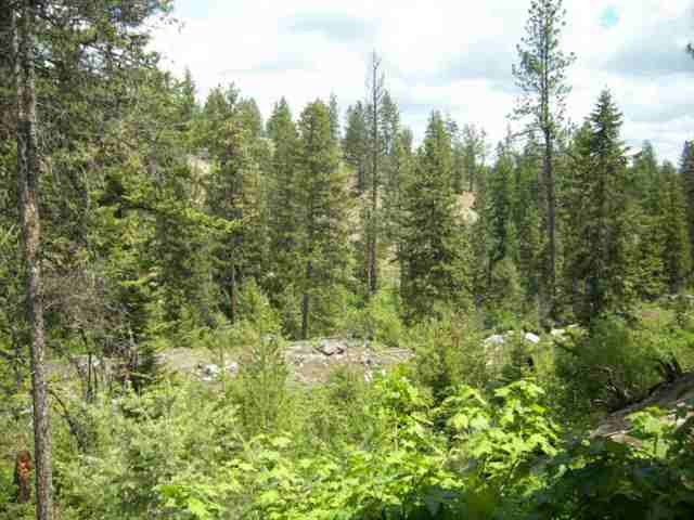 701 Veit Road Newport, WA 99156 - Photo 8 of 9 Gallery Image 8