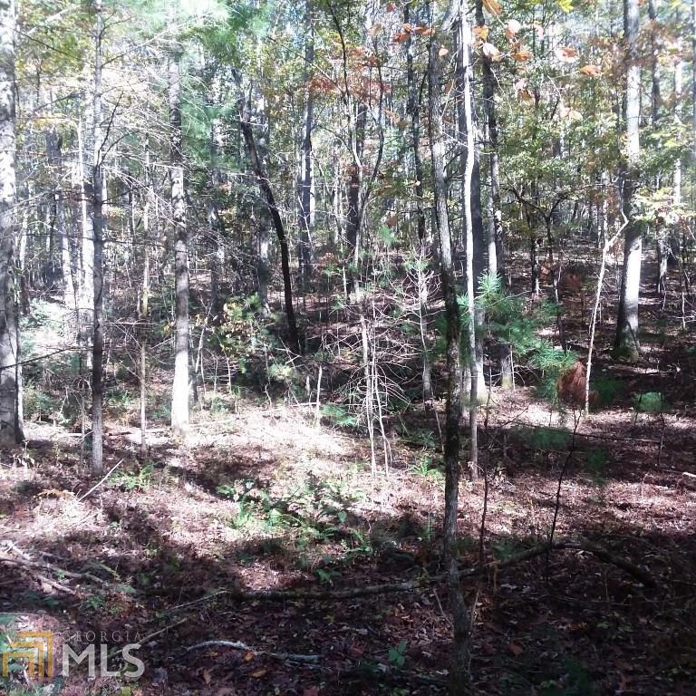 2 Sluder Place Ellijay, GA 30540 - Photo 1 of 1 Gallery Image 1