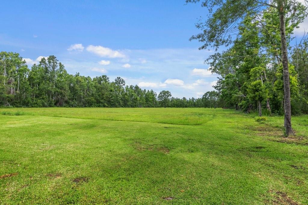 266 Rougeou Road Longville, LA 70652 - Photo 11 of 17 Gallery Image 11