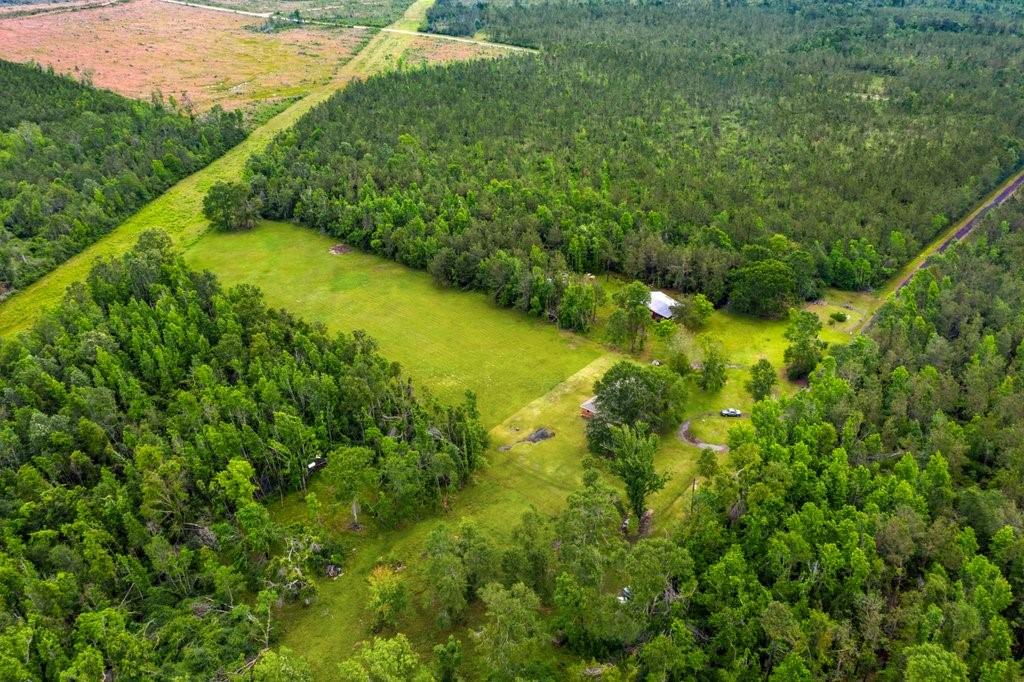 266 Rougeou Road Longville, LA 70652 - Photo 15 of 17 Gallery Image 15
