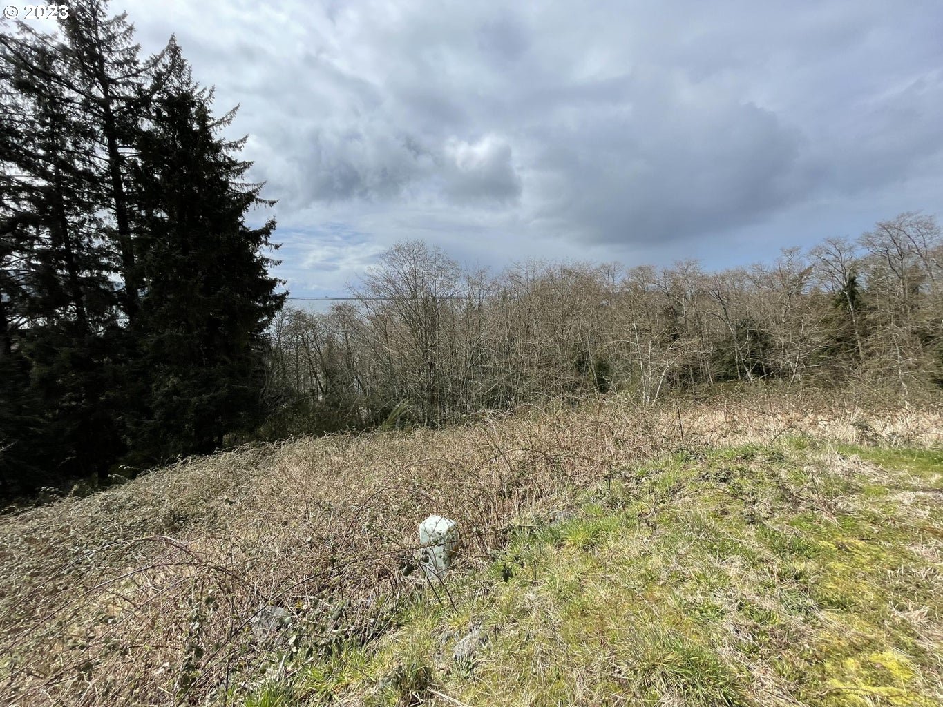 21 North Ridge Drive Bay City, OR 97107 - Photo 5 of 6