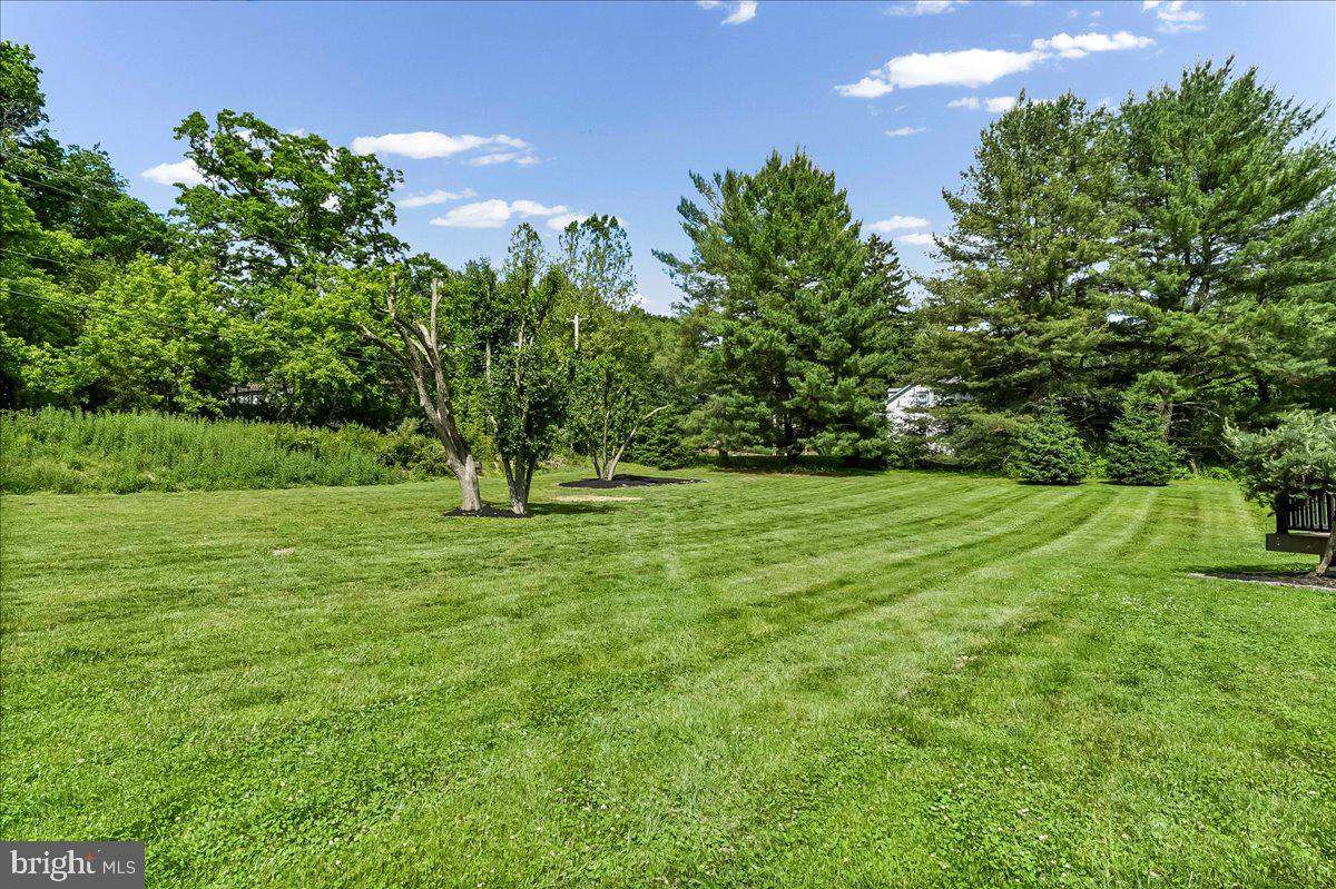 51 Ridings Way Chadds Ford, PA 19317 - Photo 12 of 57 a huge green field with lots of bushes