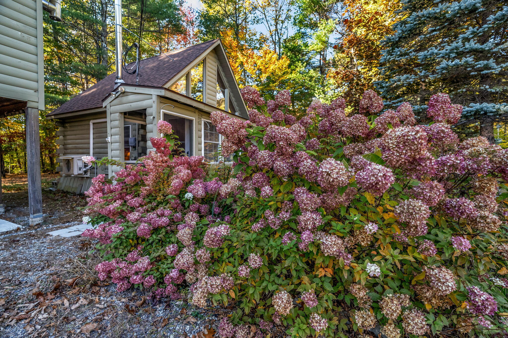 19 Birch Estates Rome, ME 04963 - Photo 49 of 74 22-web-or-mls-19-birch-ests
