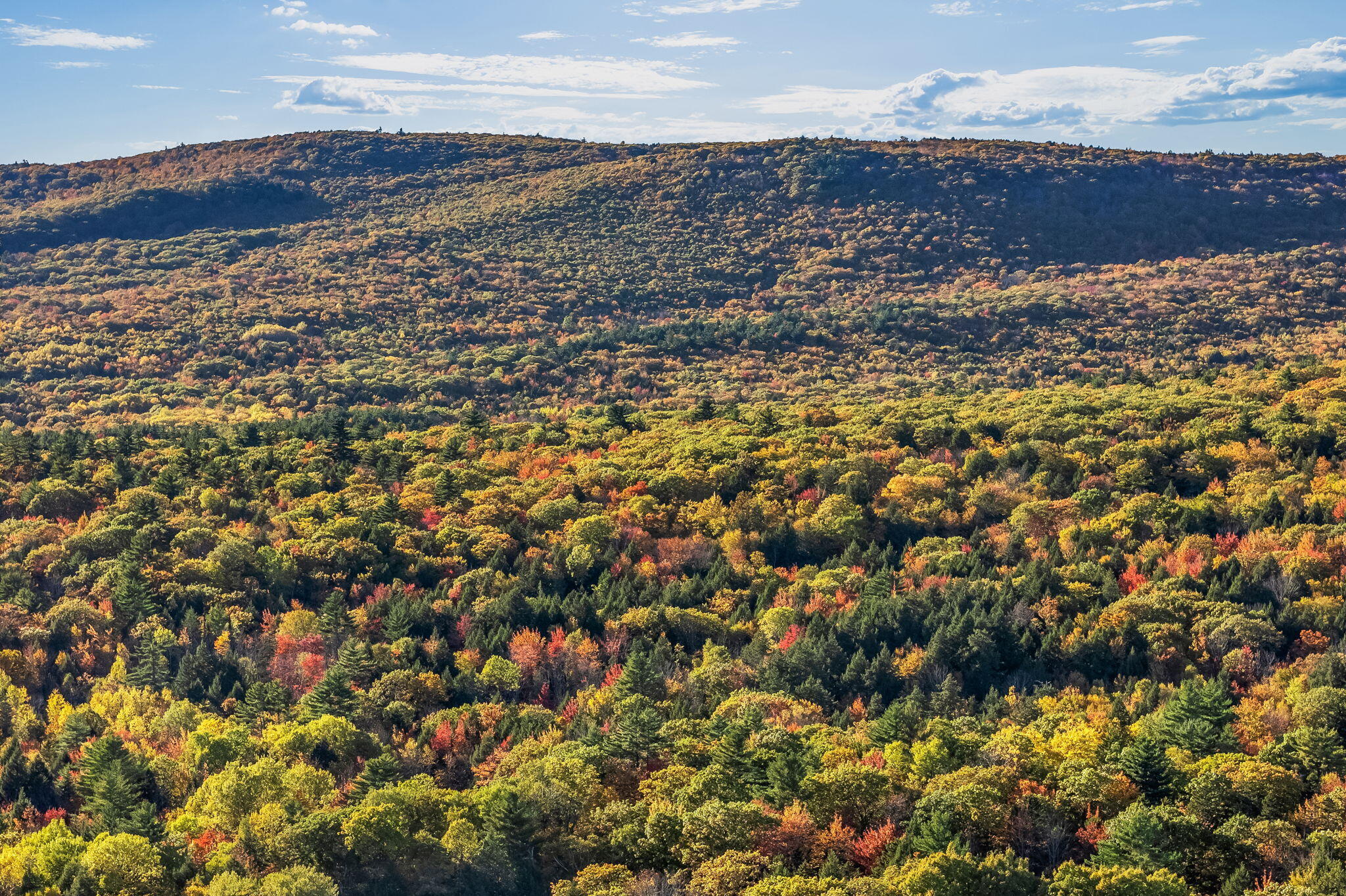 19 Birch Estates Rome, ME 04963 - Photo 69 of 74 70-web-or-mls-19-birch-ests