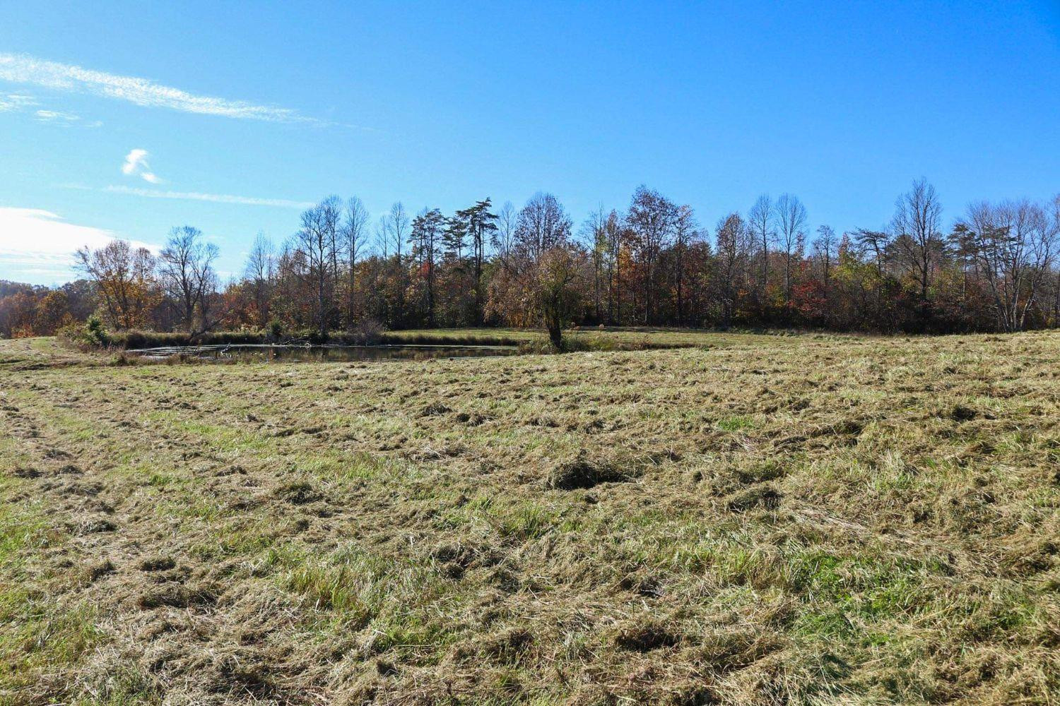 0 Red Fox Road Williamsburg, KY 40769 - Photo 6 of 9 Photo 6