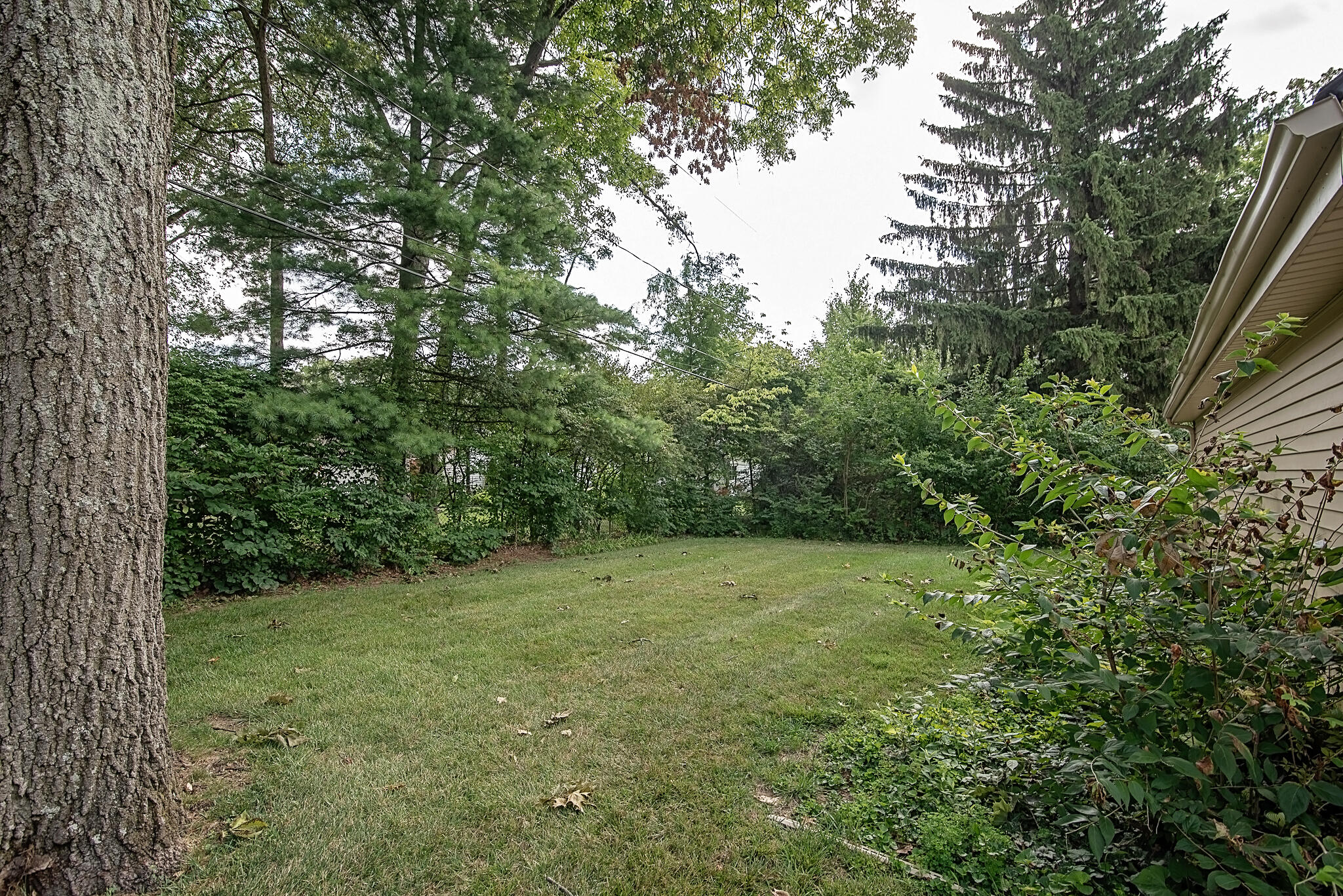520 Dover Road Springfield, OH 45504 - Photo 5 of 34 Gallery Image 5