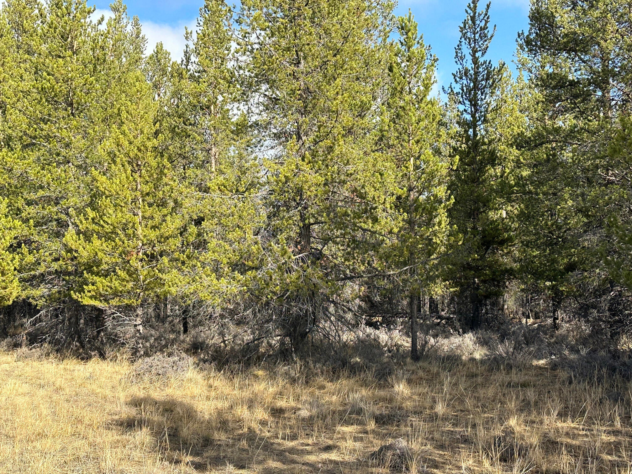 Split Rail Road, Unit 6100 La Pine, OR 97739 - Photo 24 of 28 IMG_0430