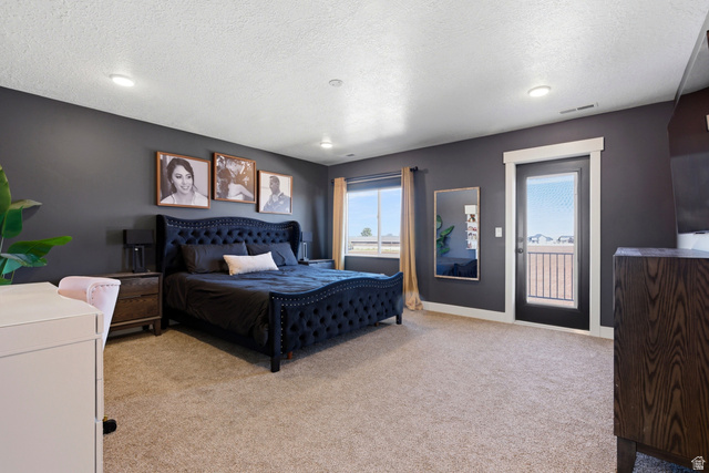 3902 West 825 North West Point, UT 84015 - Photo 14 of 49 Bedroom with light carpet, access to exterior, and a textured ceiling