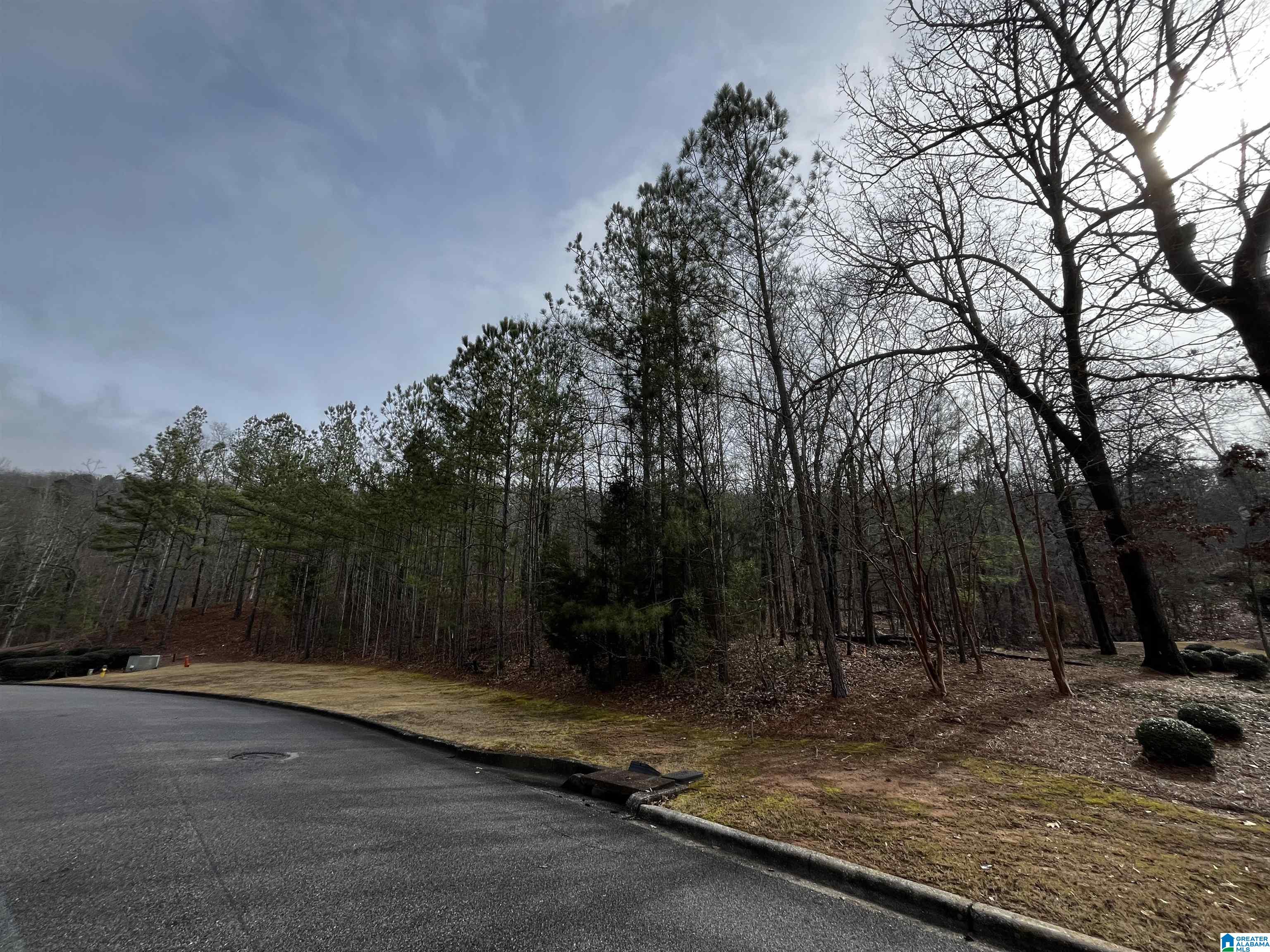 7011 Montrose Road, Unit 6 Birmingham, AL 35242 - Photo 7 of 9