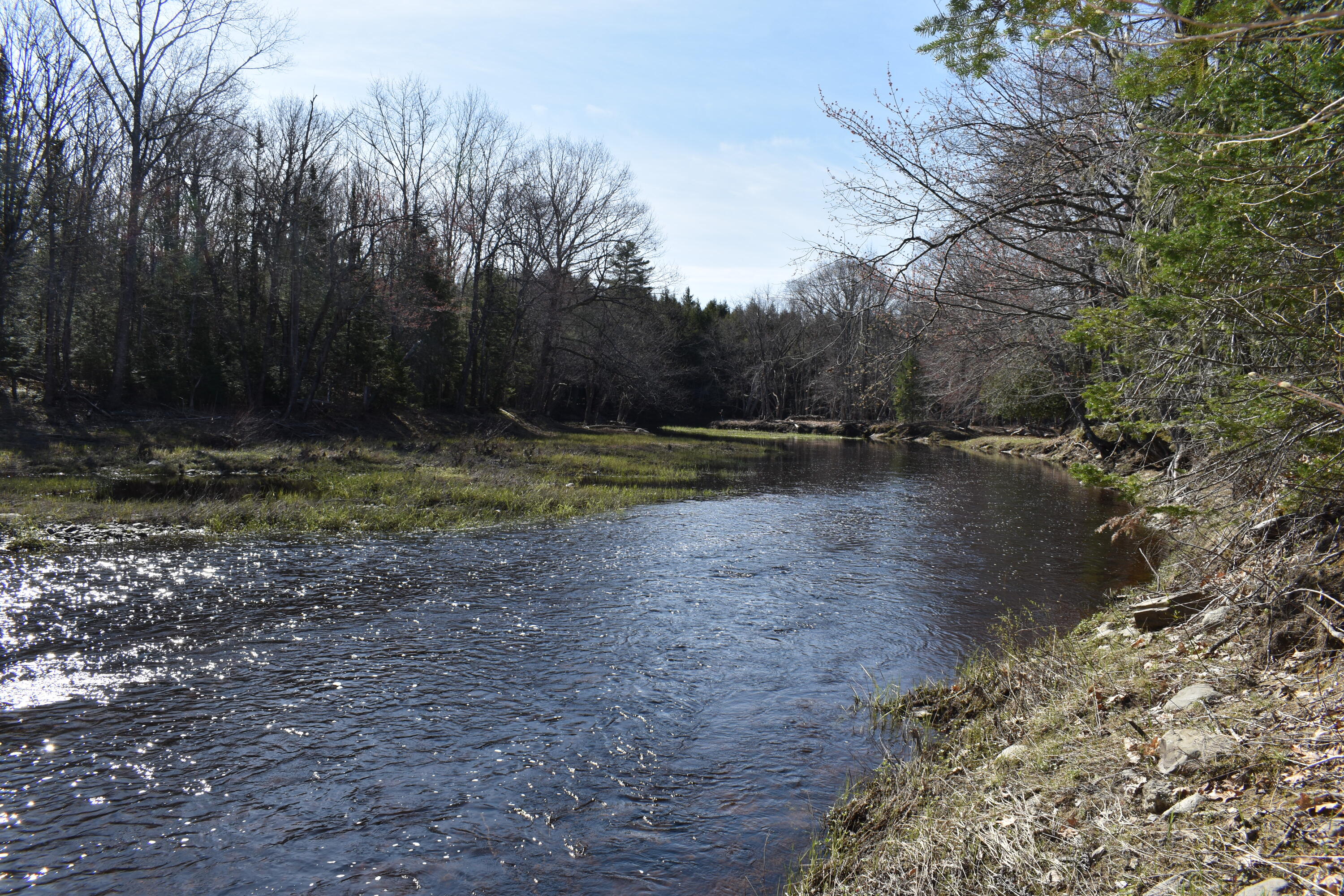 15 Loop Road Lincoln, ME 04457 - Photo 49 of 51 DSC_0137
