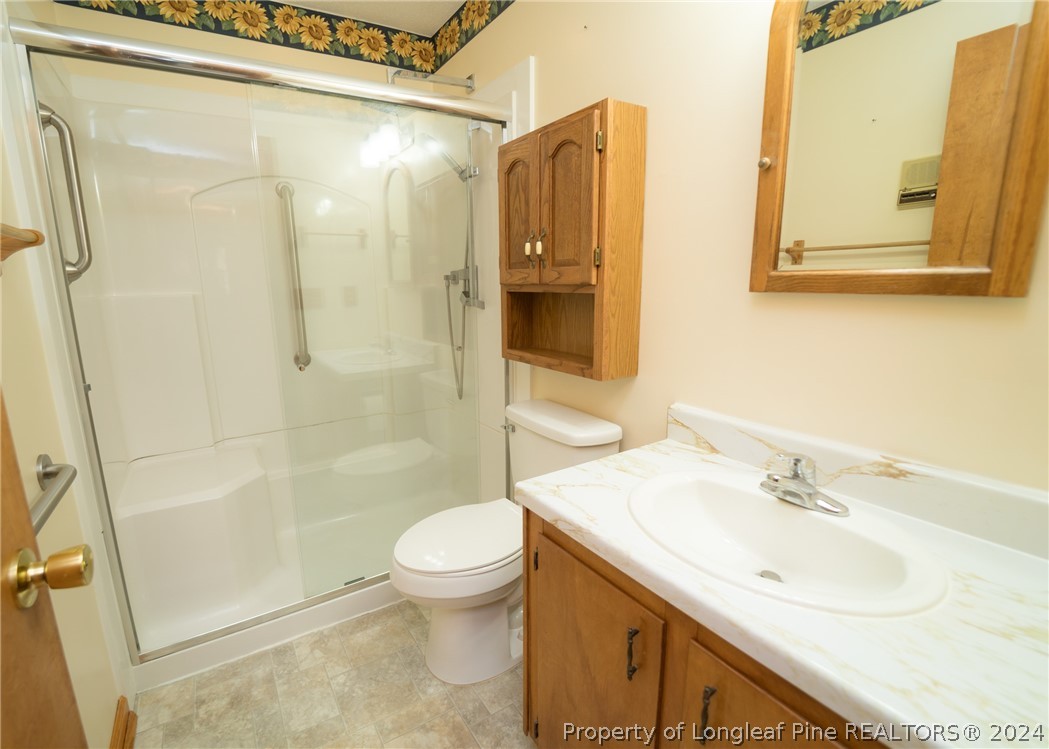 141 Union Church Road Carthage, NC 28327 - Photo 16 of 31 a bathroom with a sink a toilet and shower