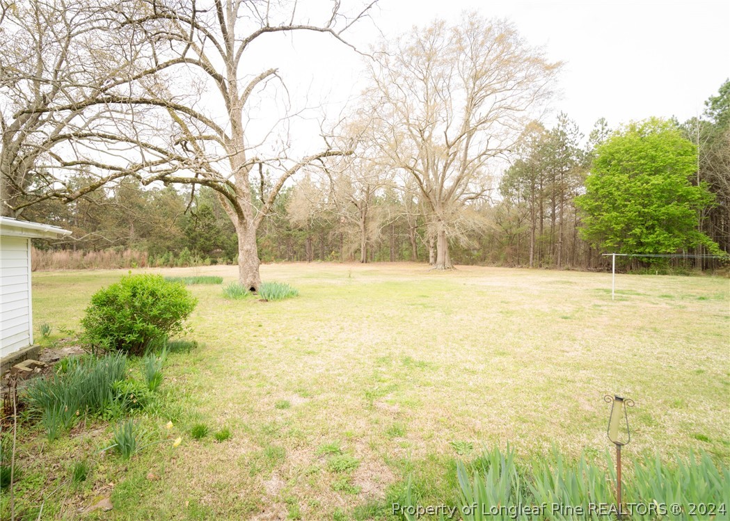 141 Union Church Road Carthage, NC 28327 - Photo 31 of 31 a view of yard with tree