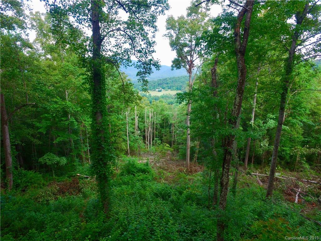 99999 Pheasant Ridge Road, Unit 16 Fairview, NC 28730 - Photo 1 of 14 Gallery Image 1