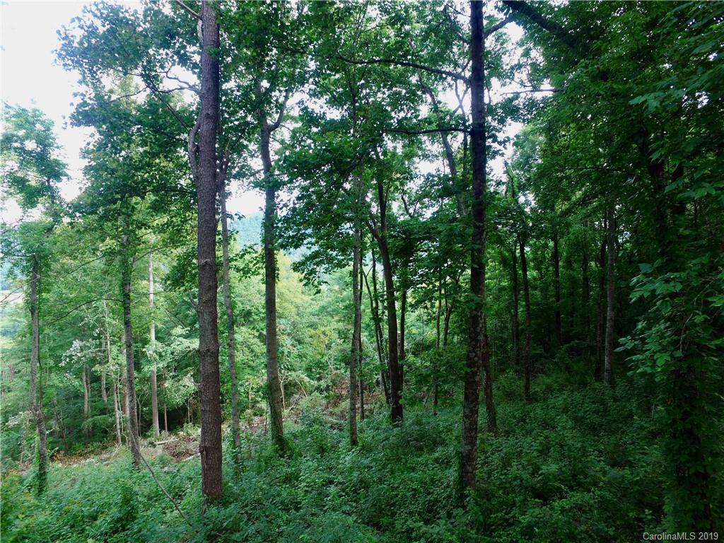 99999 Pheasant Ridge Road, Unit 16 Fairview, NC 28730 - Photo 2 of 14 Gallery Image 2