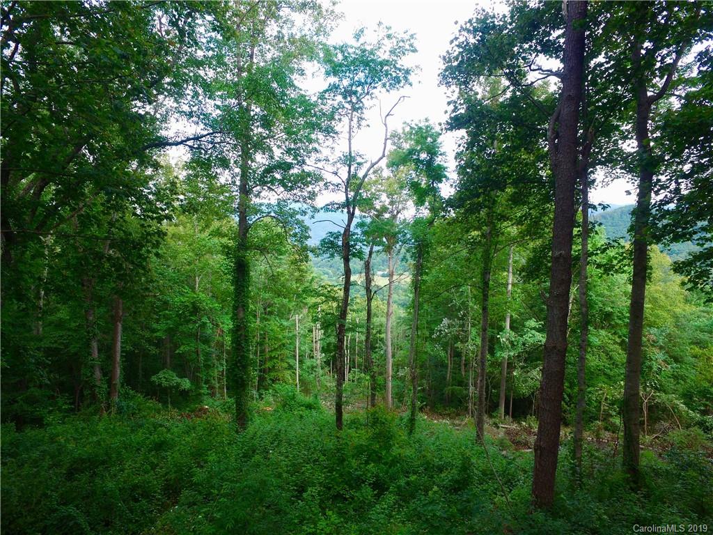 99999 Pheasant Ridge Road, Unit 16 Fairview, NC 28730 - Photo 11 of 14 Gallery Image 11