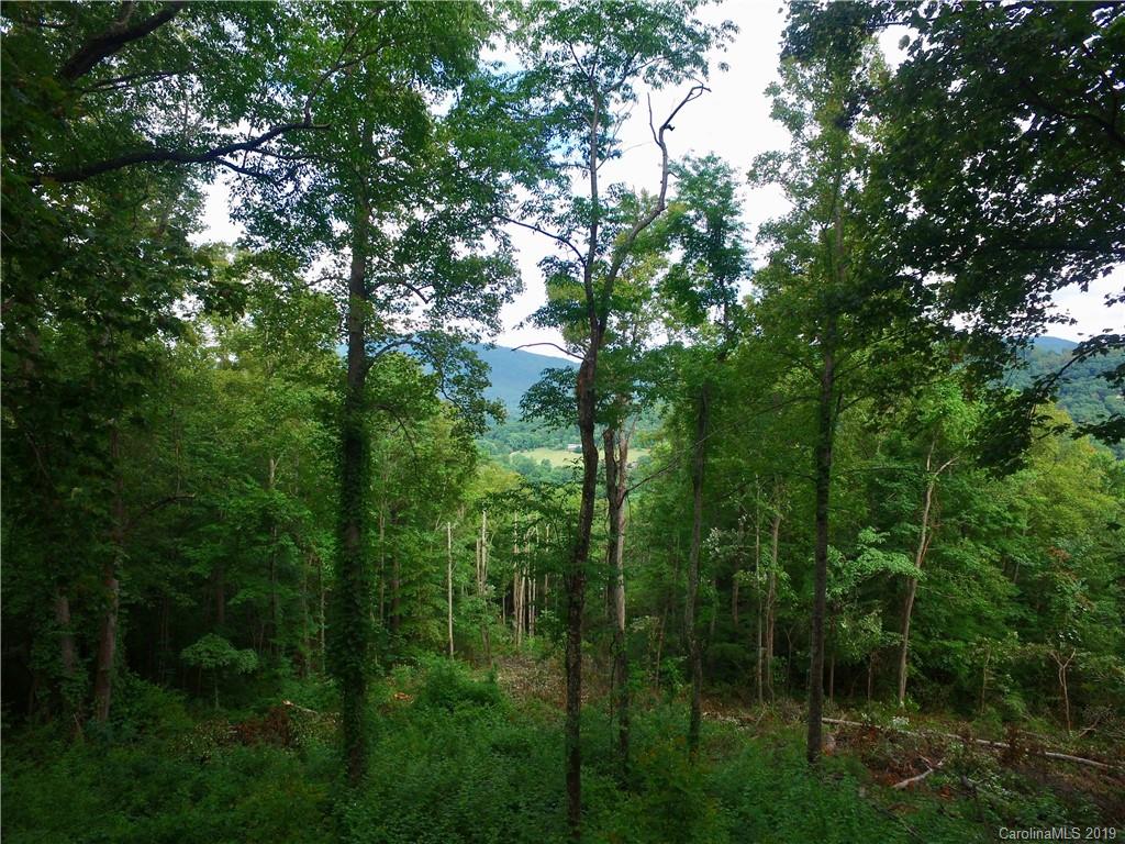 99999 Pheasant Ridge Road, Unit 16 Fairview, NC 28730 - Photo 12 of 14 Gallery Image 12