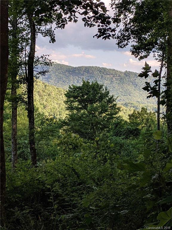 99999 Pheasant Ridge Road, Unit 16 Fairview, NC 28730 - Photo 13 of 14 Gallery Image 13