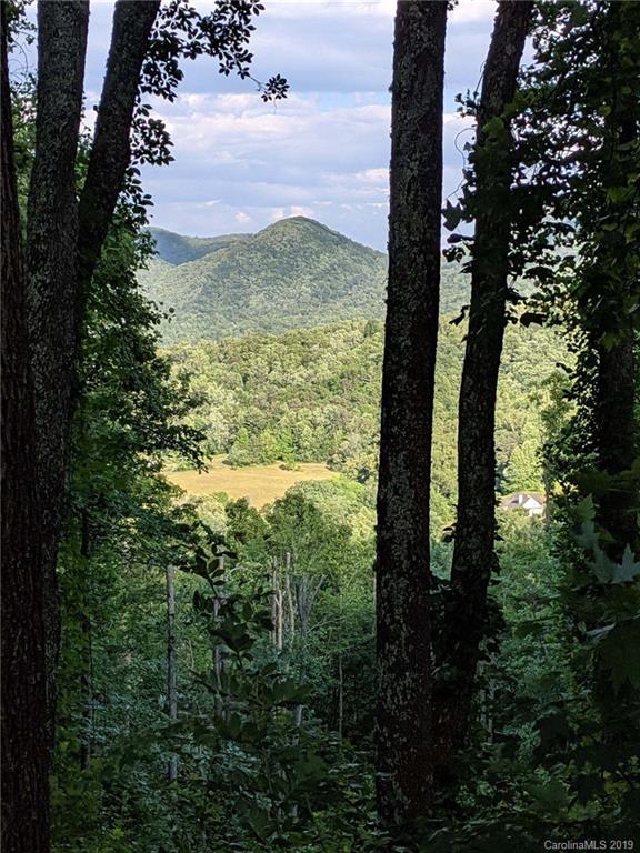 99999 Pheasant Ridge Road, Unit 16 Fairview, NC 28730 - Photo 14 of 14 Gallery Image 14