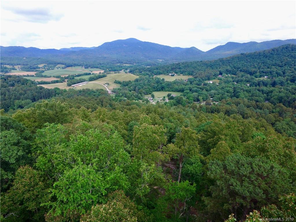 99999 Pheasant Ridge Road, Unit 16 Fairview, NC 28730 - Photo 3 of 14 Gallery Image 3