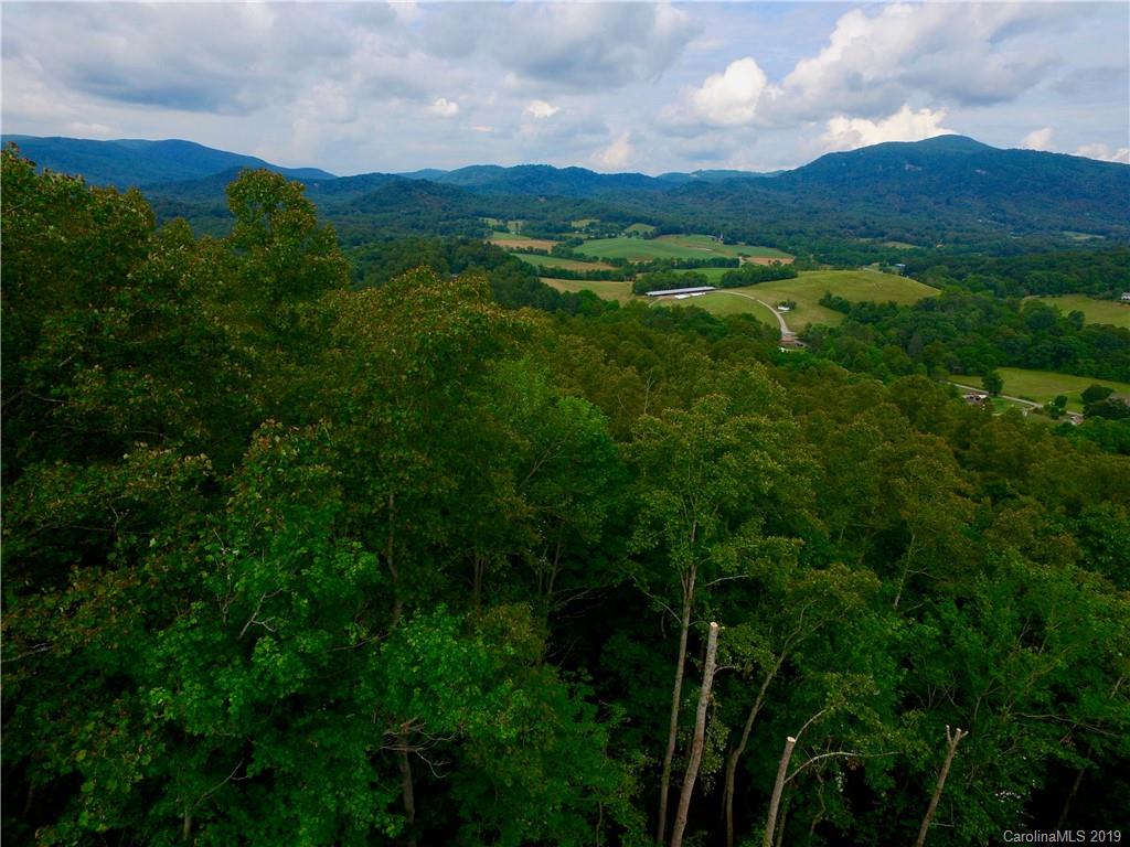 99999 Pheasant Ridge Road, Unit 16 Fairview, NC 28730 - Photo 4 of 14 Gallery Image 4