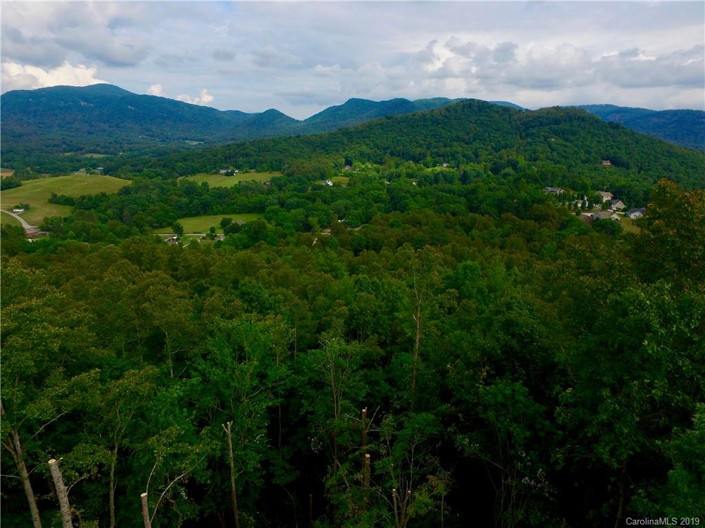 99999 Pheasant Ridge Road, Unit 16 Fairview, NC 28730 - Photo 5 of 14 Gallery Image 5