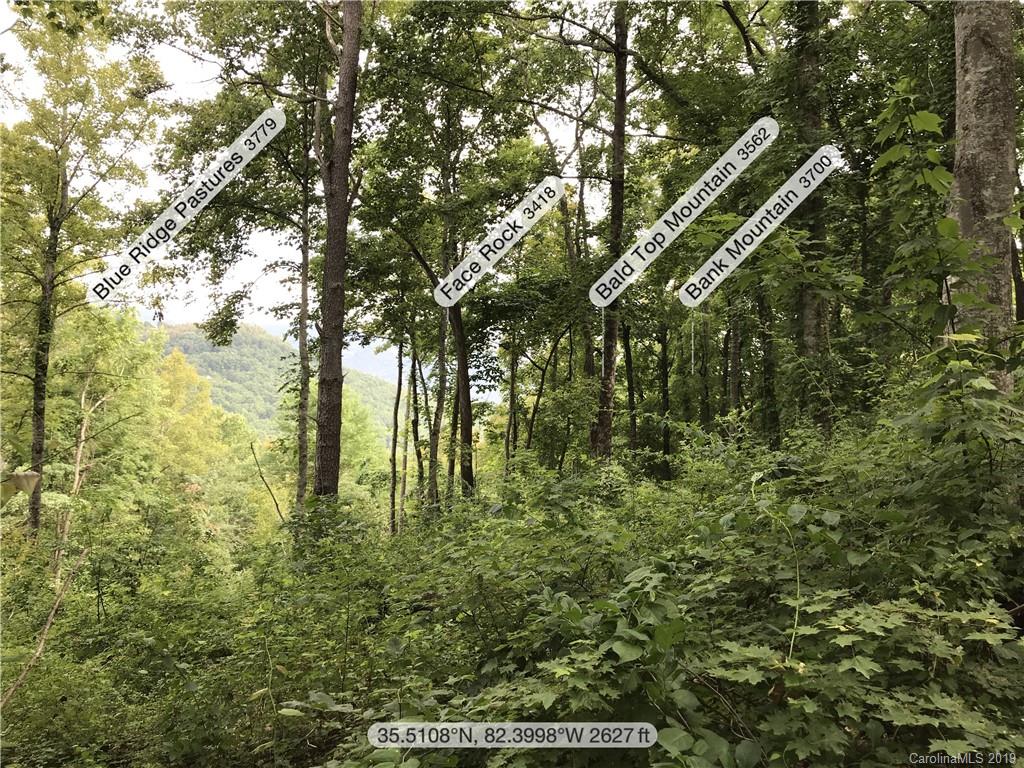 99999 Pheasant Ridge Road, Unit 16 Fairview, NC 28730 - Photo 6 of 14 Gallery Image 6