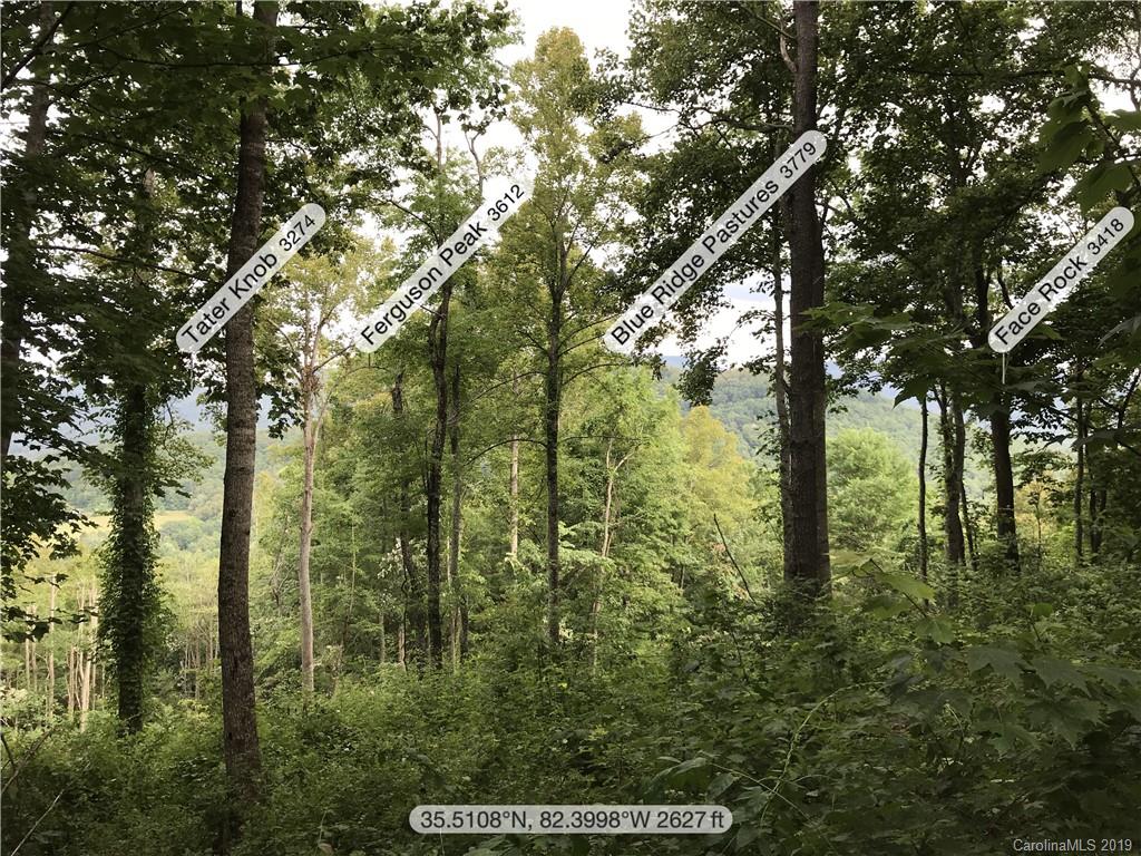 99999 Pheasant Ridge Road, Unit 16 Fairview, NC 28730 - Photo 7 of 14 Gallery Image 7