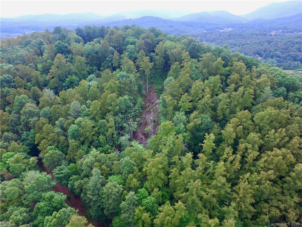 99999 Pheasant Ridge Road, Unit 16 Fairview, NC 28730 - Photo 10 of 14 Gallery Image 10