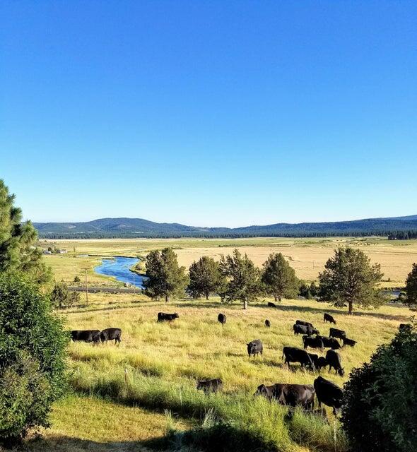 20893 Sprague River Road Chiloquin, OR 97624 - Photo 48 of 75 20893 48