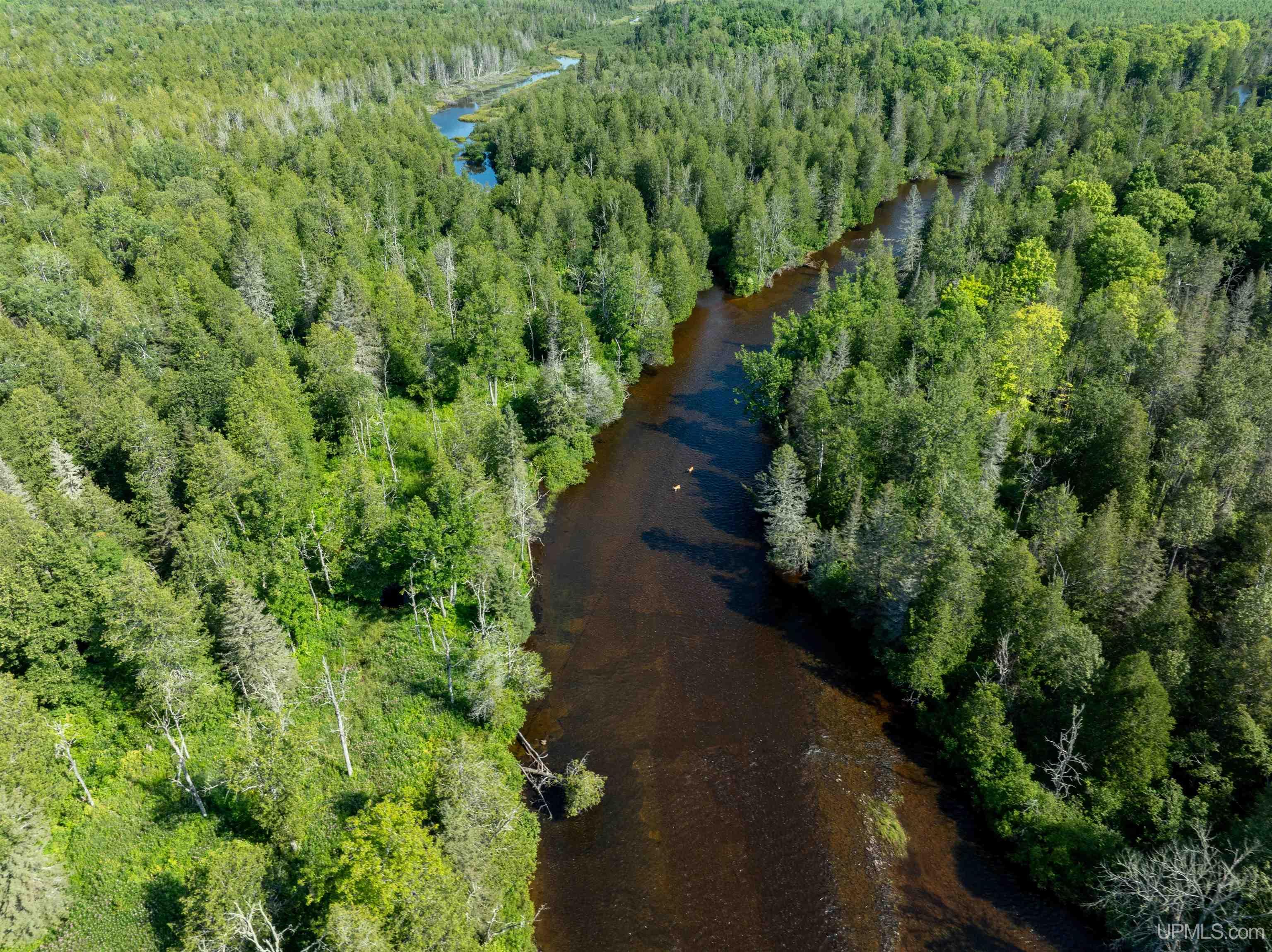 75 Rd Rapid River Munising, MI 49862 - Photo 38 of 48