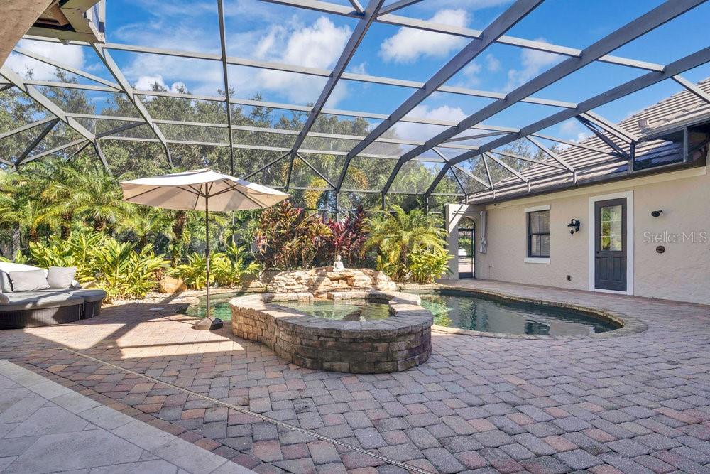 9204 Tibet Pointe Circle Windermere, FL 34786 - Photo 45 of 72 a view of a backyard with plants and a patio