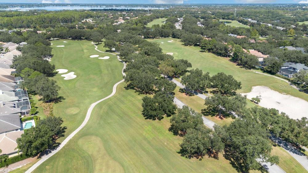 9204 Tibet Pointe Circle Windermere, FL 34786 - Photo 66 of 72 an aerial view of residential houses with outdoor space and trees