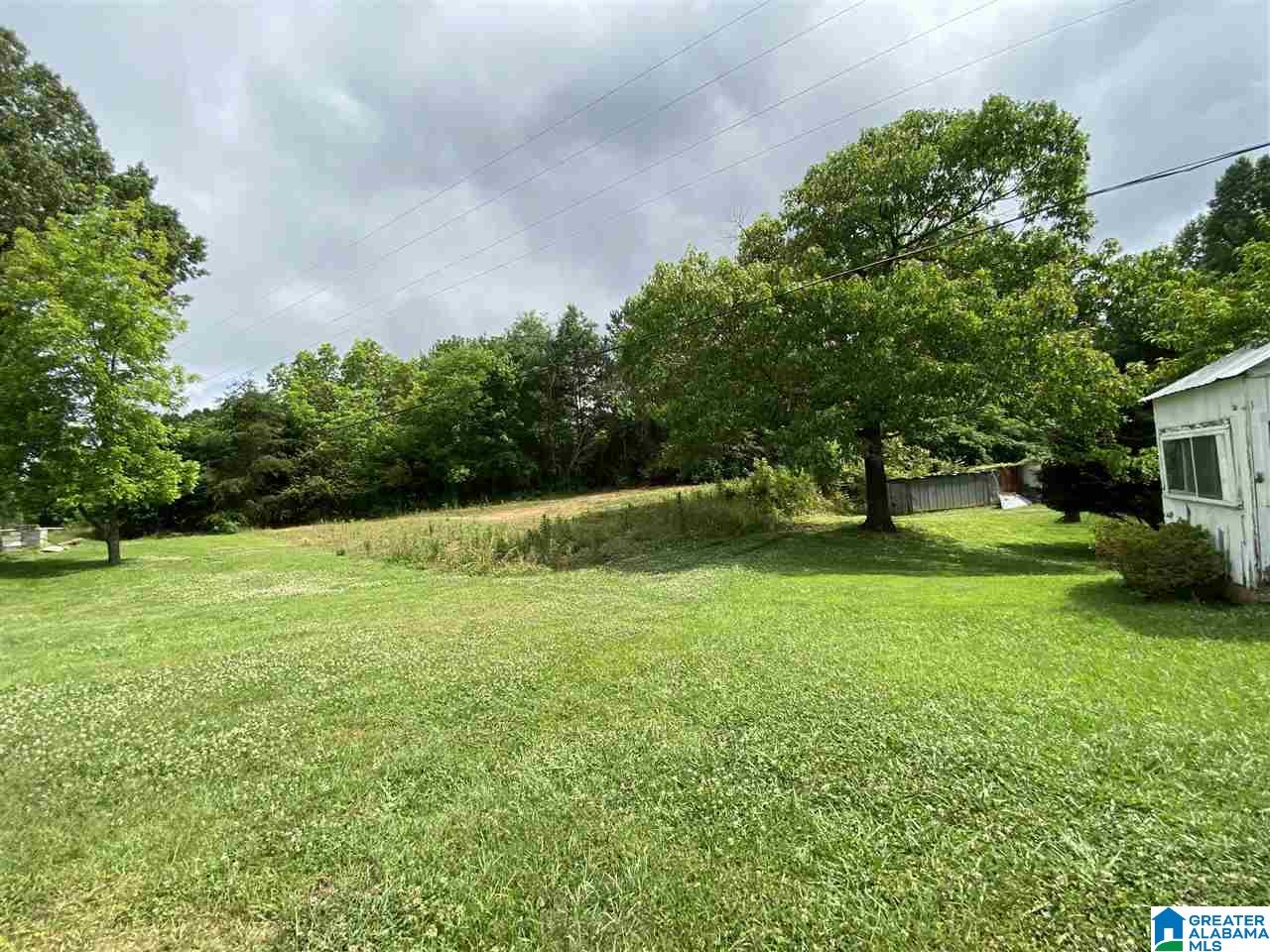 4197 Coon Creek Road Empire, AL 35063 - Photo 4 of 26