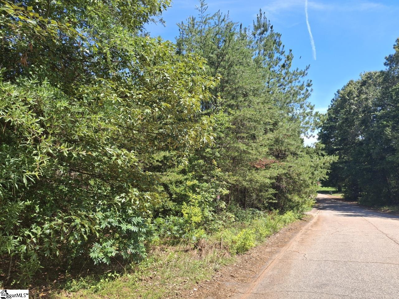 302 Walnut Drive Pickens, SC 29671 - Photo 1 of 3