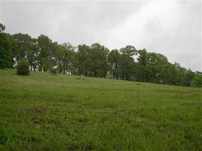 0 South Ridgeway Drive Nixa, MO 65714 - Photo 1 of 1 Primary Photo