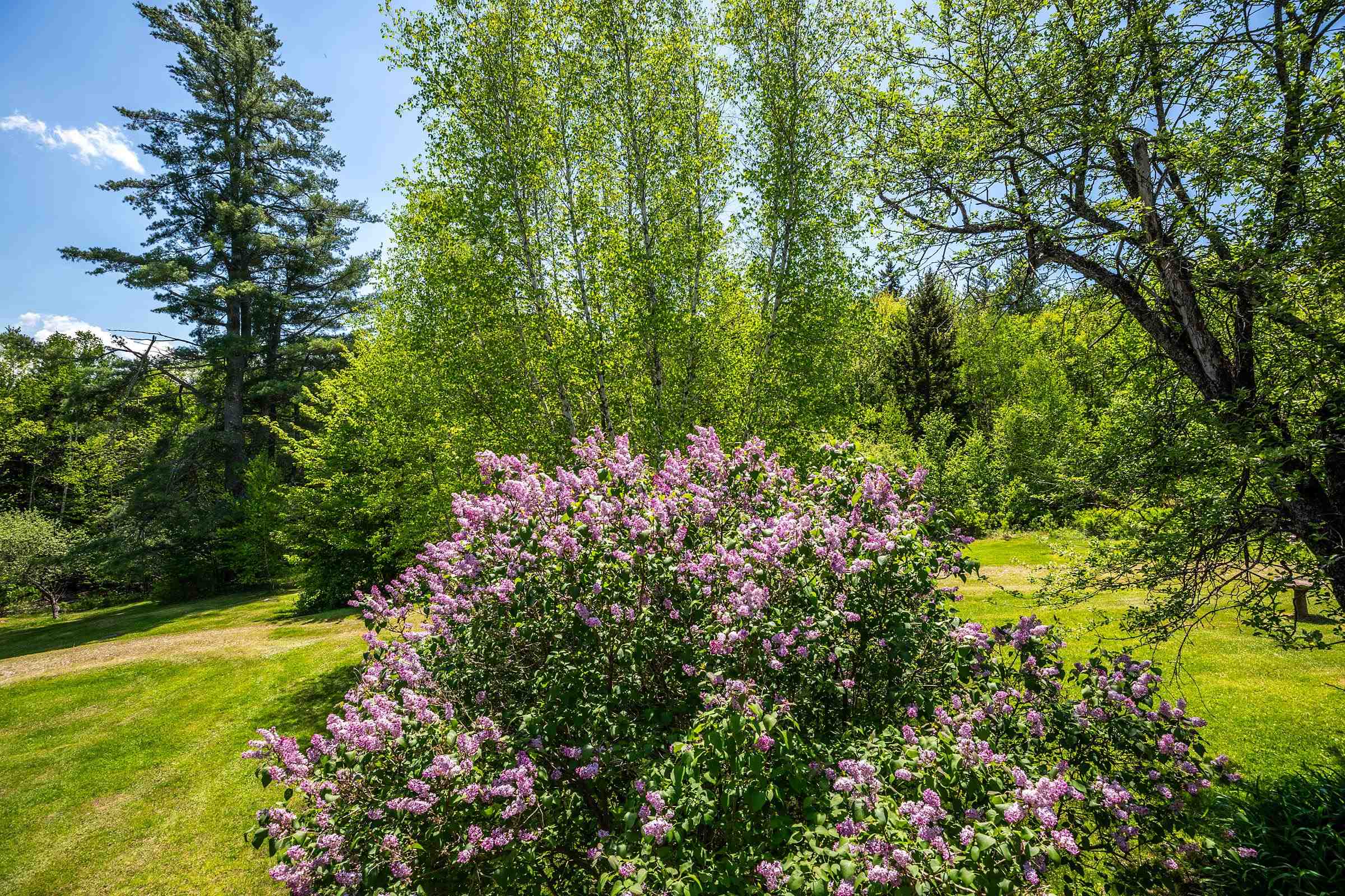 124 Forrester Road Stratton, VT 05360 - Photo 41 of 57