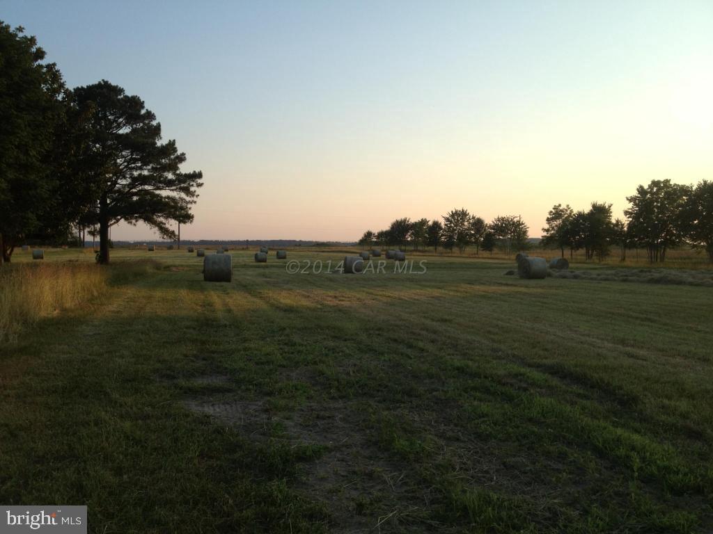 32068 Twilleys Bridge Road Salisbury, MD 21804 - Photo 2 of 10