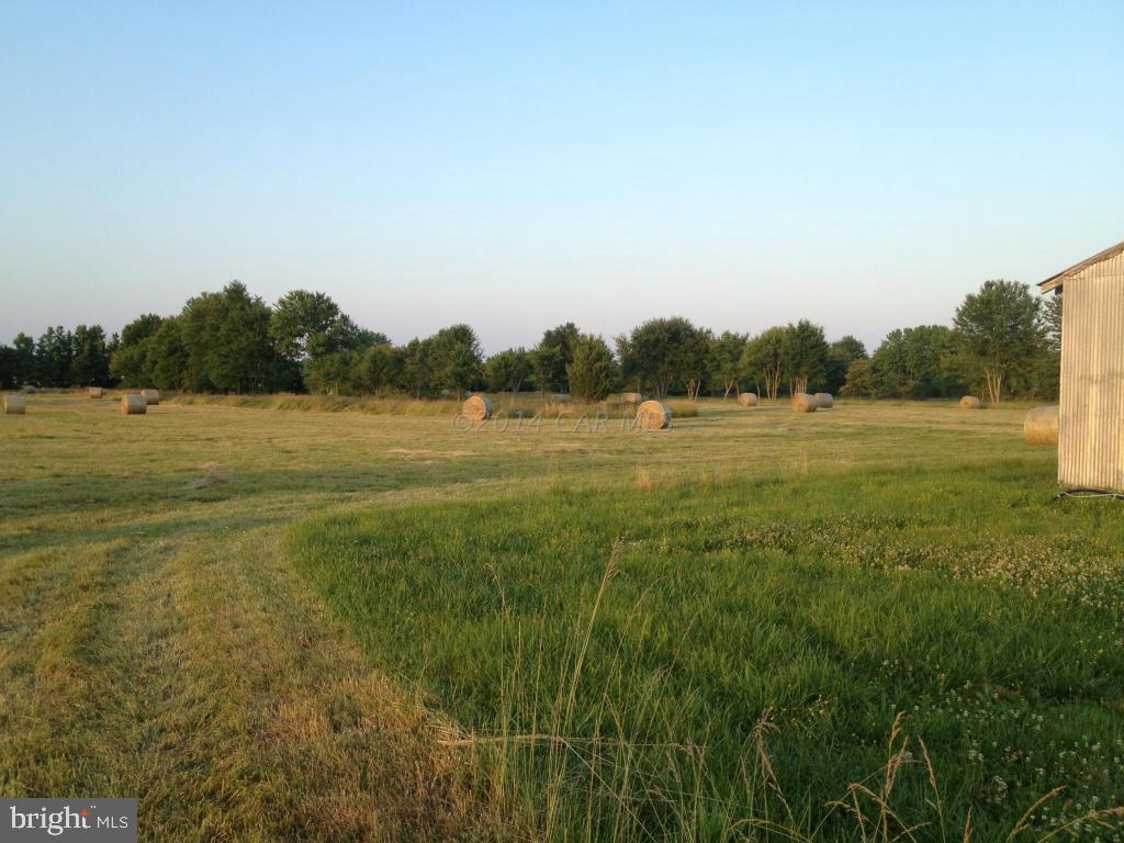 32068 Twilleys Bridge Road Salisbury, MD 21804 - Photo 3 of 10