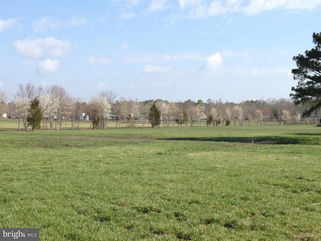 32068 Twilleys Bridge Road Salisbury, MD 21804 - Photo 4 of 10