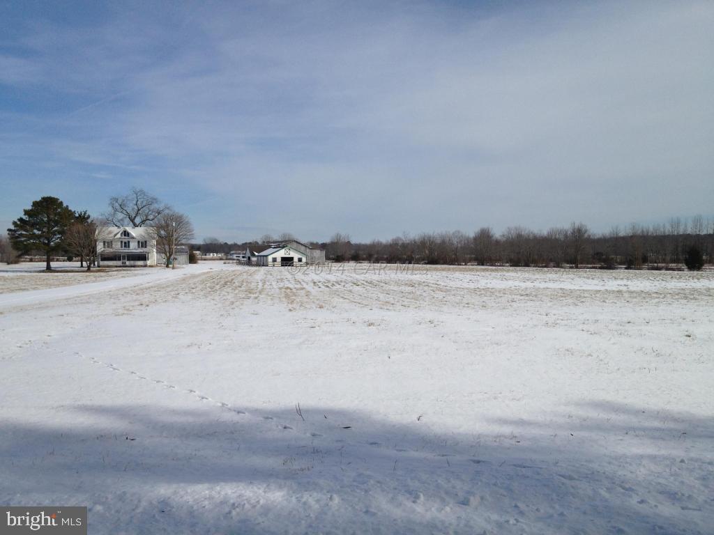 32068 Twilleys Bridge Road Salisbury, MD 21804 - Photo 5 of 10