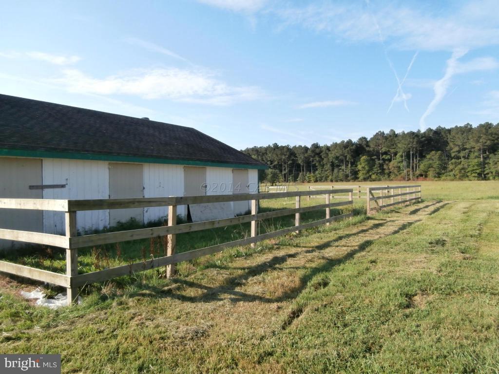 32068 Twilleys Bridge Road Salisbury, MD 21804 - Photo 7 of 10