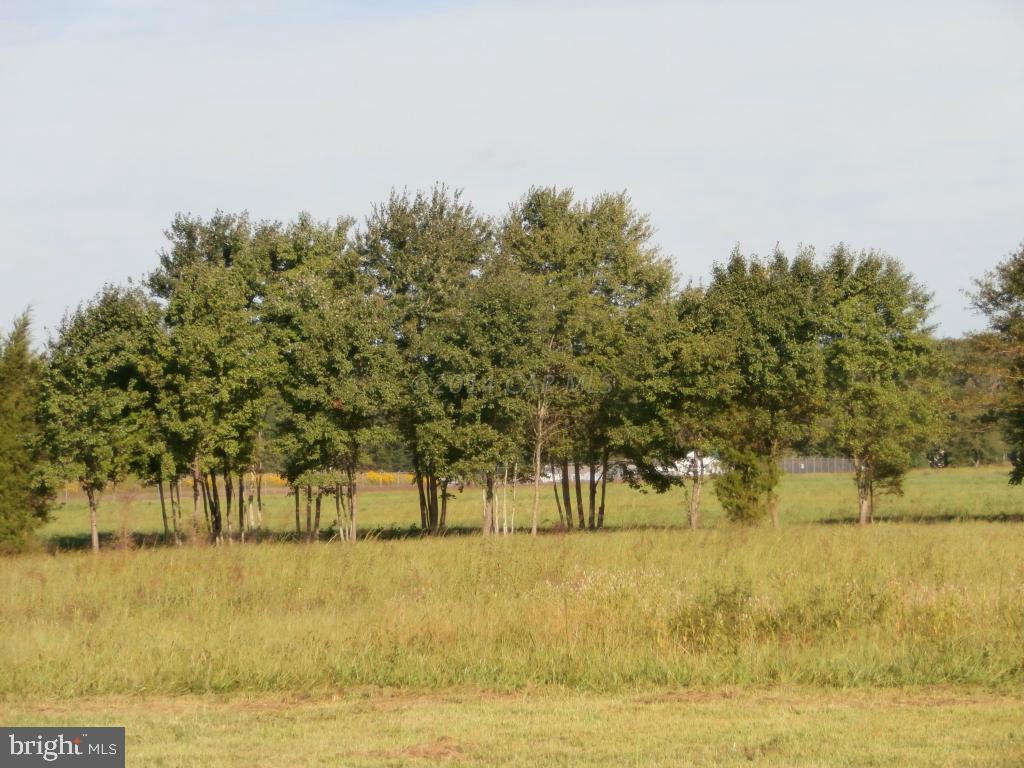 32068 Twilleys Bridge Road Salisbury, MD 21804 - Photo 10 of 10