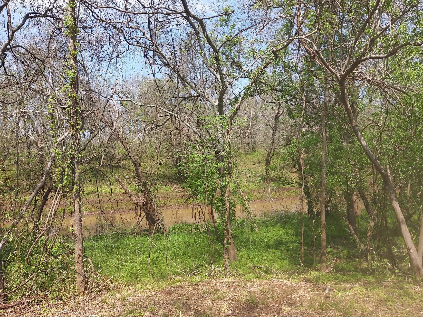 Lot 1 FM 521 Road Angleton, TX 77515 - Photo 24 of 34
