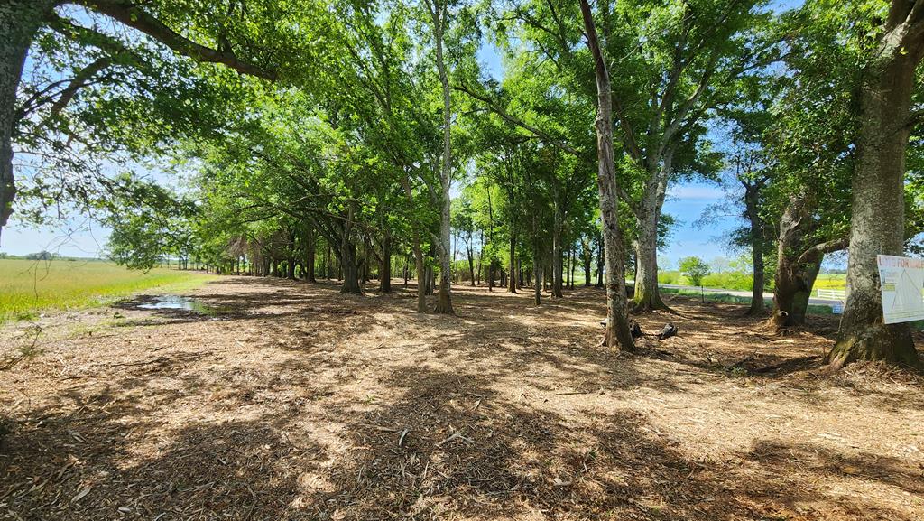92 County Road 92 Slocomb, AL 36375 - Photo 10 of 58